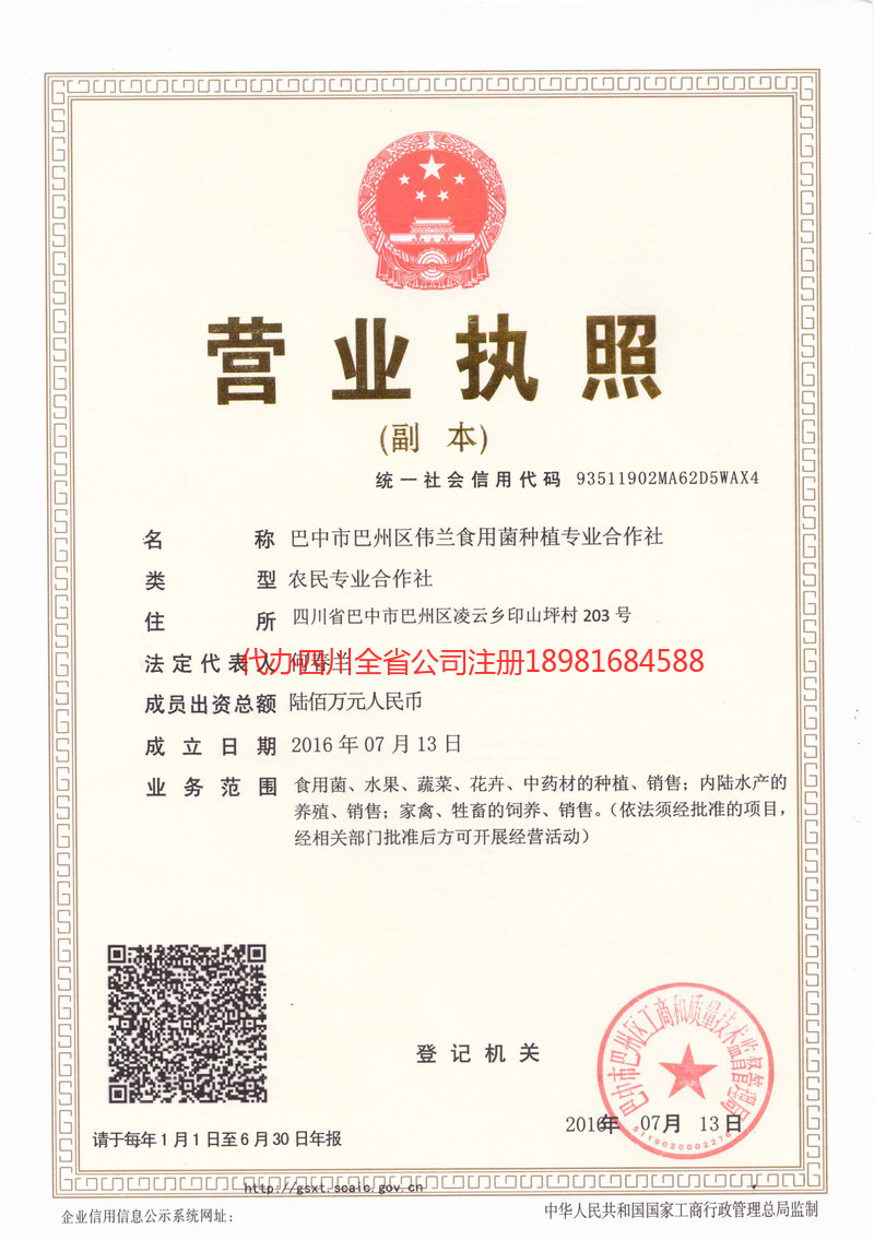 敦煌敦煌伟兰食用菌种植专业合作社